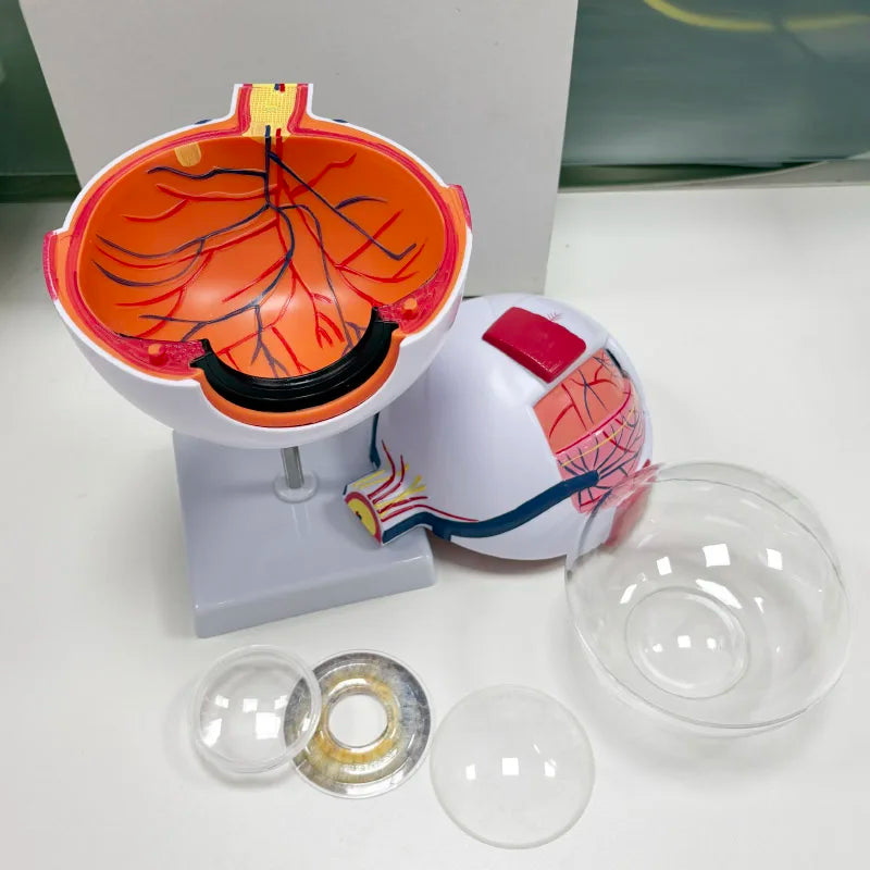Model Glob Ocular 6x