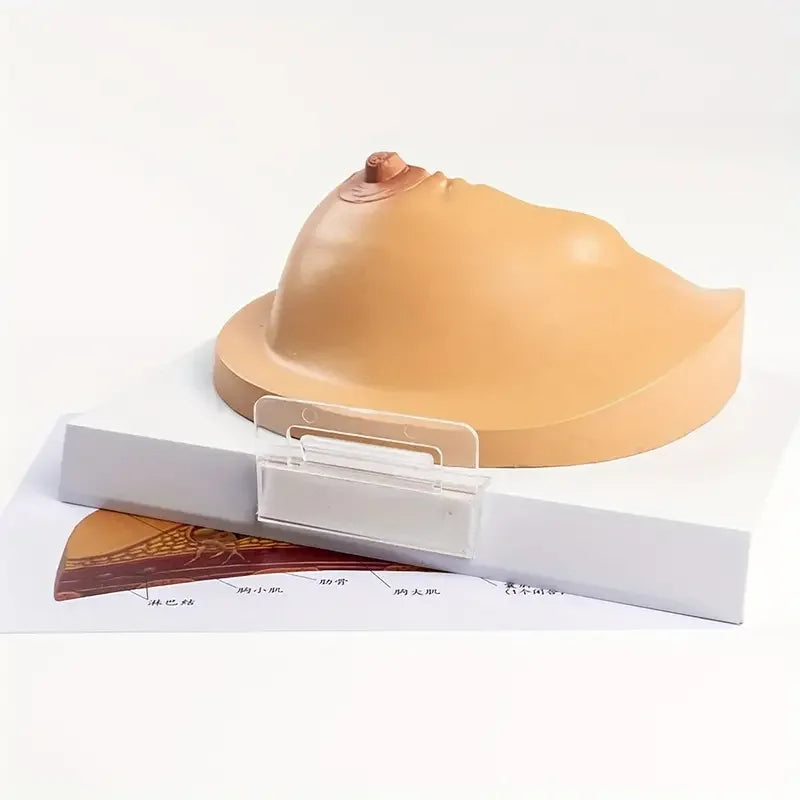 Model Sân Feminin Patologic