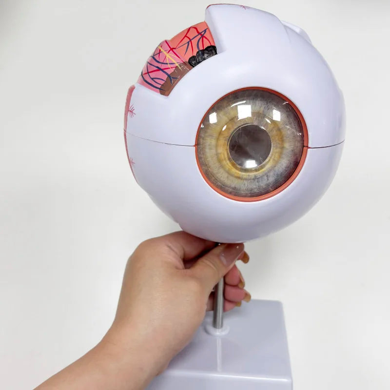 Model Glob Ocular 6x