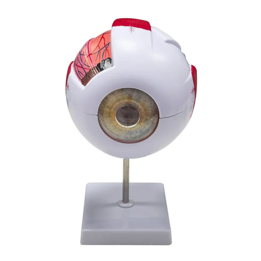 Model Glob Ocular 6x